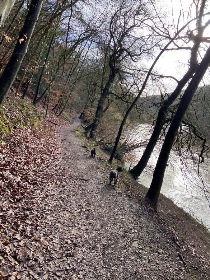 Stunning Symonds Yat Holiday Cottage Dış mekan fotoğraf